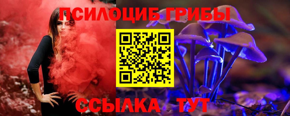 Псилоцибиновые грибы мухоморы  Вход с VPN  Луга 